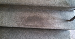 Carpet Cleaning steps in Springfield Ma