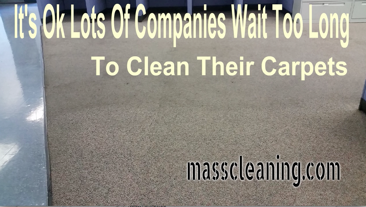 carpet cleaning springfield MA